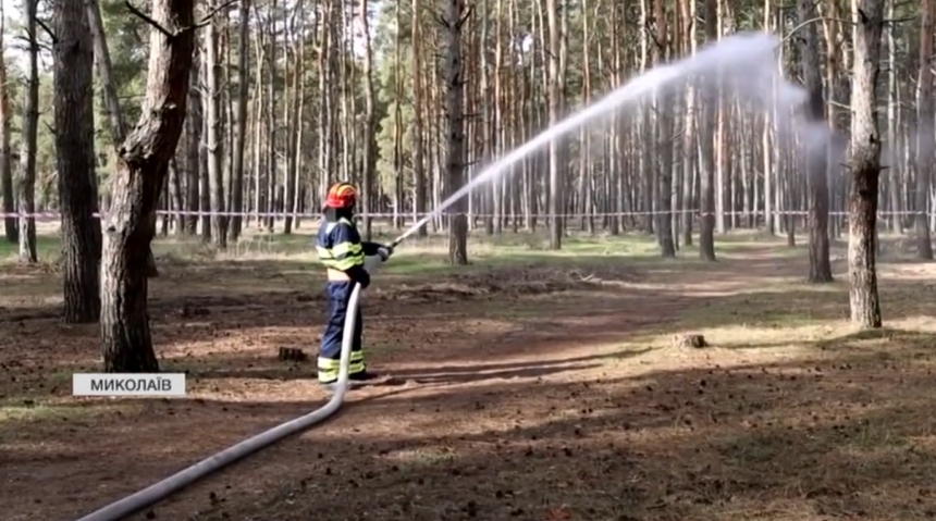 На Миколаївщині через обстріл постраждали ліси: у ДСНС повідомили подробиці