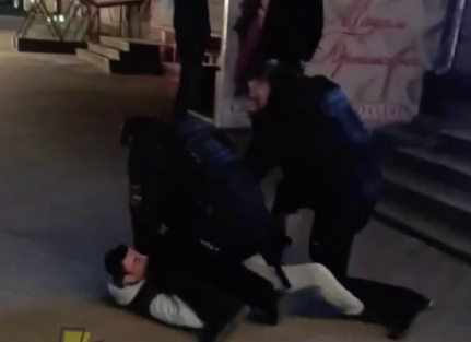В Николаеве на Соборной местный житель подрался с полицией охраны (видео)