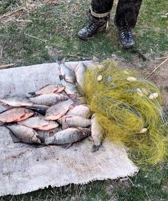 Під Миколаєвом упіймали рибалок із забороненими знаряддями лову