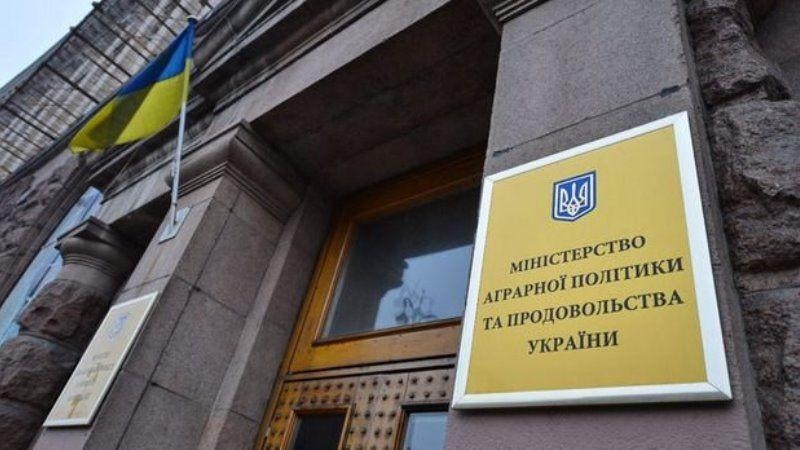 Катавасия с министерствами в Украине не прекращается: два из них могут снова объединить