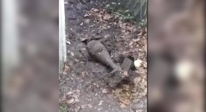 Собака рився на подвір'ї і виявив бомбу