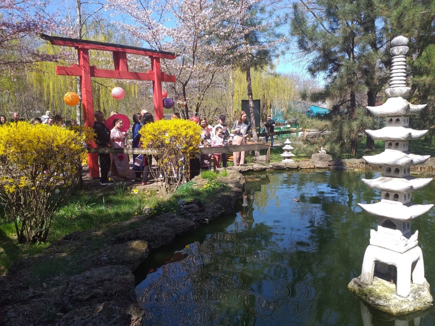 Как в Николаевском зоопарке отметили японский праздник любования сакурой (фоторепортаж)