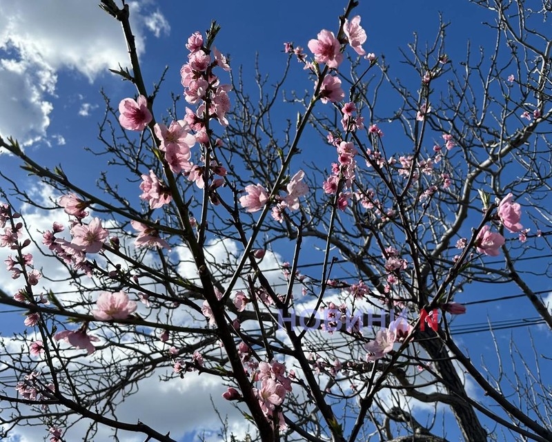 Жаркая весна: в Николаеве установлен очередной температурный рекорд