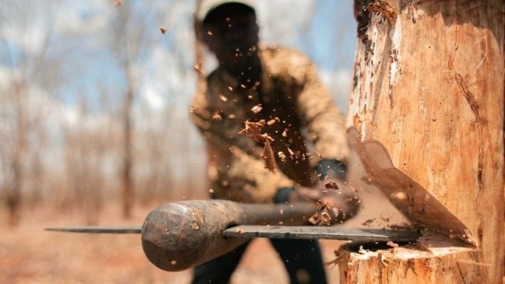 В Вознесенске коммунальщики «кронировали» деревья: теперь будут возмещать ущерб