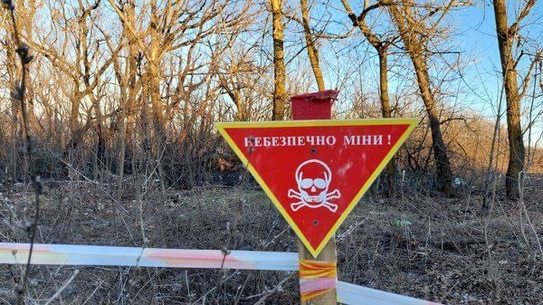 На Миколаївщині троє жителів намагалися підняти міну і вона здетонувала: двоє у лікарні