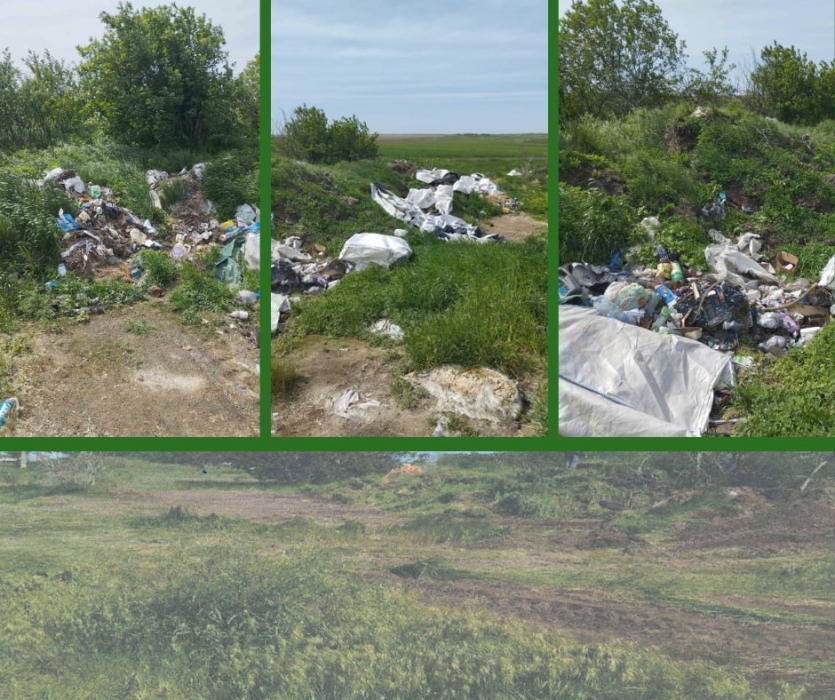 У селах під Миколаєвом на узбіччя дороги скидали сміття: прибрали лише після втручання інспекторів