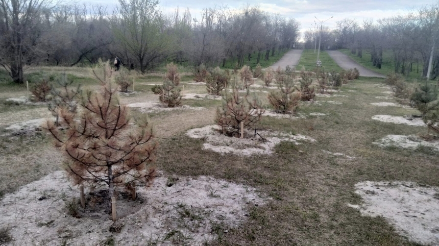 У Миколаєві хочуть реконструювати парк Перемоги: впорядкувати пляж, встановити фонтани та кафе У Миколаєві хочуть реконструювати парк Перемоги: впорядкувати пляж, встановити фонтани та кафе