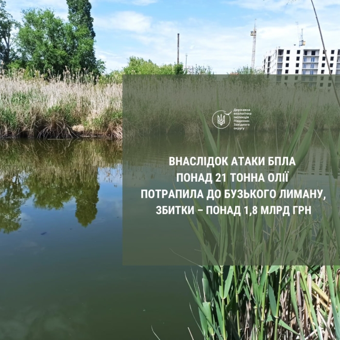 Масштабне забруднення лиману в Миколаєві: до акваторії потрапила 21 тонна олії, зібрали — 23 куби Масштабне забруднення лиману в Миколаєві: до акваторії потрапила 21 тонна олії, зібрали — 23 куби