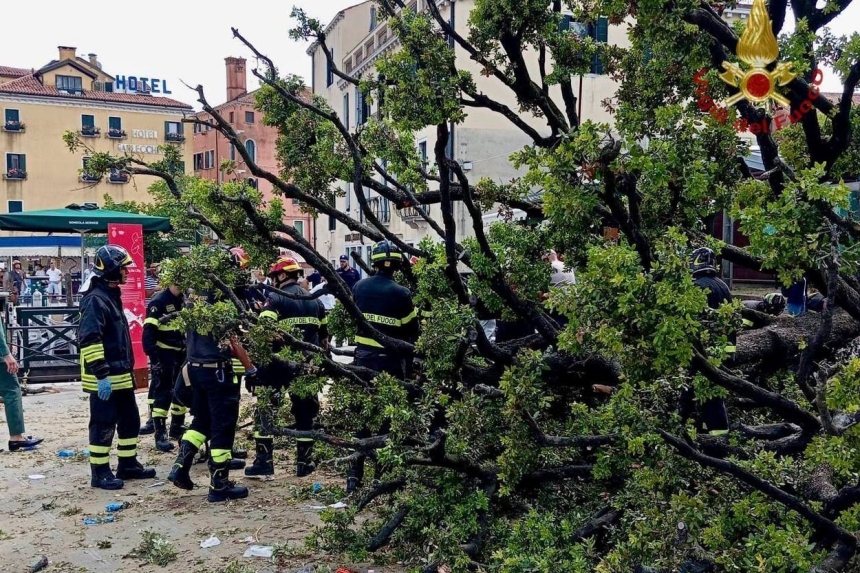 50-річне дерево впало на туристів у центрі Венеції 50-річне дерево впало на туристів у центрі Венеції