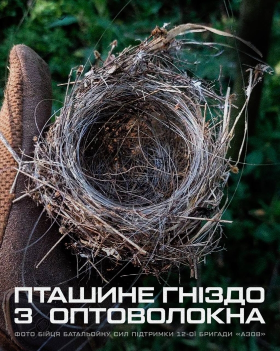 На Донбасі птахи звили гніздо із залишків оптоволокна На Донбасі птахи звили гніздо із залишків оптоволокна