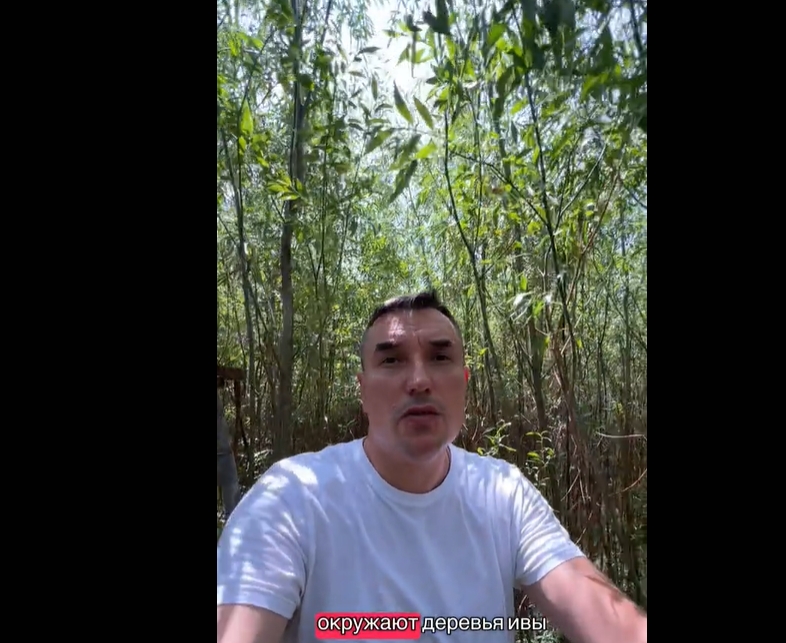 На дні Каховського водосховища виріс густий вербовий ліс (відео) На дні Каховського водосховища виріс густий вербовий ліс (відео)