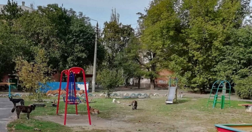 Пенсионер развращал девочку на детской площадке в Николаеве Пенсионер развращал девочку на детской площадке в Николаеве