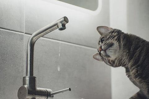 Відключення водопостачання на ПГУ у Миколаєві: адреси та терміни Відключення водопостачання на ПГУ у Миколаєві: адреси та терміни