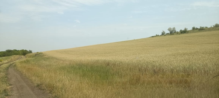 Часть заповедника в Николаевской области распахали: нарушителями займется полиция Часть заповедника в Николаевской области распахали: нарушителями займется полиция