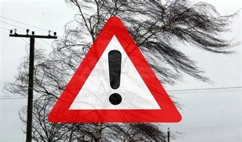 Про шквальний вітер попереджають мешканців Миколаєва та області Про шквальний вітер попереджають мешканців Миколаєва та області