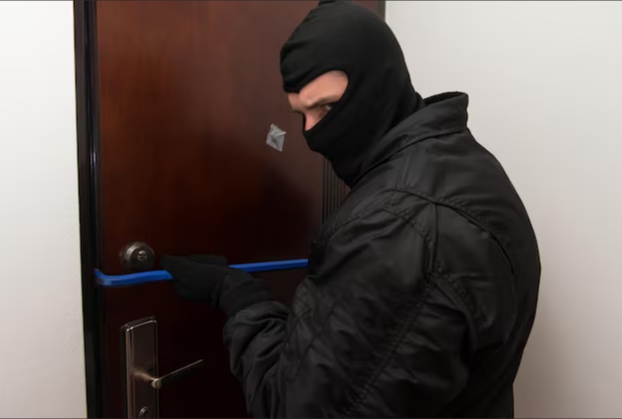 В Германии похищена дорогостоящая сперма быков стоимостью €30 000 В Германии похищена дорогостоящая сперма быков стоимостью €30 000