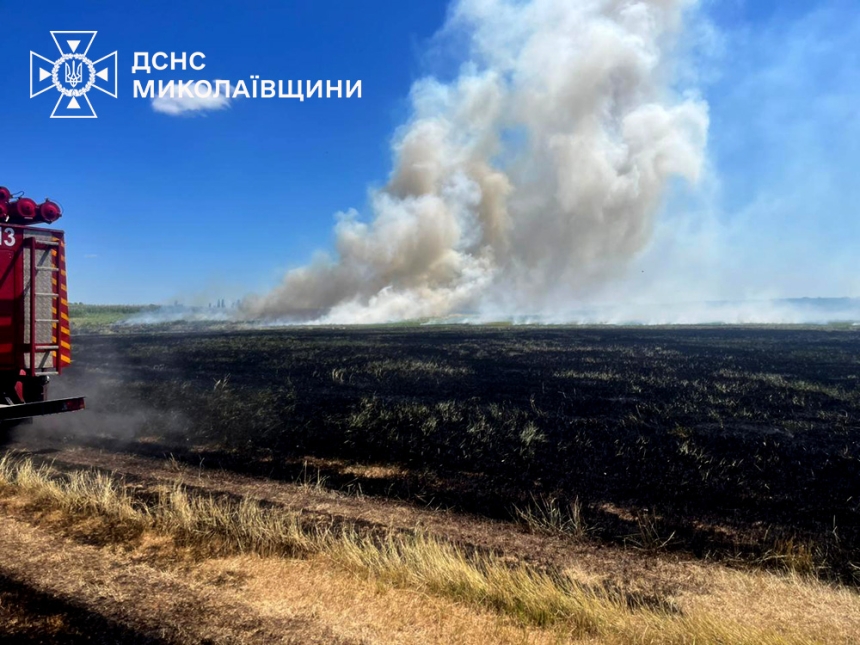 На Миколаївщині горіли поля: пожежі підійшли до житлового сектору На Миколаївщині горіли поля: пожежі підійшли до житлового сектору