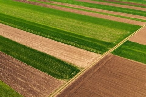 Миколаївська область потрапила до переліку регіонів із найдешевшою землею Миколаївська область потрапила до переліку регіонів із найдешевшою землею
