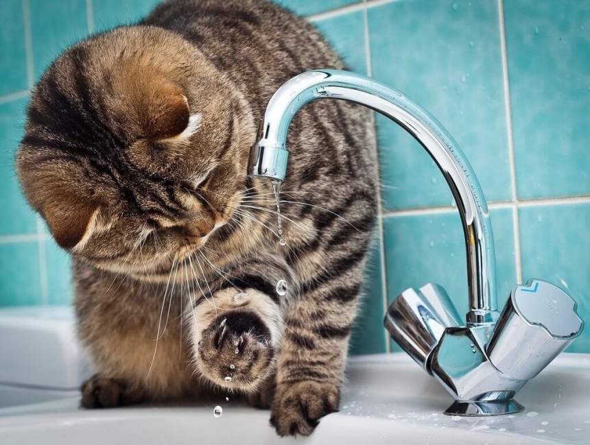 В Николаеве без воды остался целый микрорайон В Николаеве без воды остался целый микрорайон