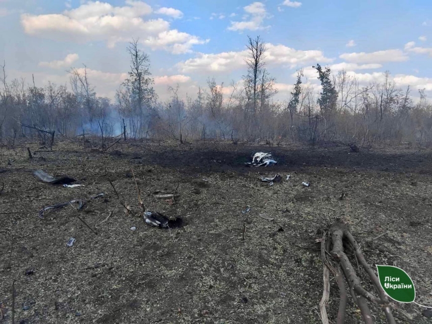 Лес загорелся из-за падения обломков российской ракеты в Николаевской области (фото) Лес загорелся из-за падения обломков российской ракеты в Николаевской области (фото)