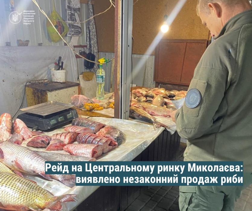 Рыба без документов: в Николаеве провели рейд на рынке и обнаружили правонарушения Рыба без документов: в Николаеве провели рейд на рынке и обнаружили правонарушения