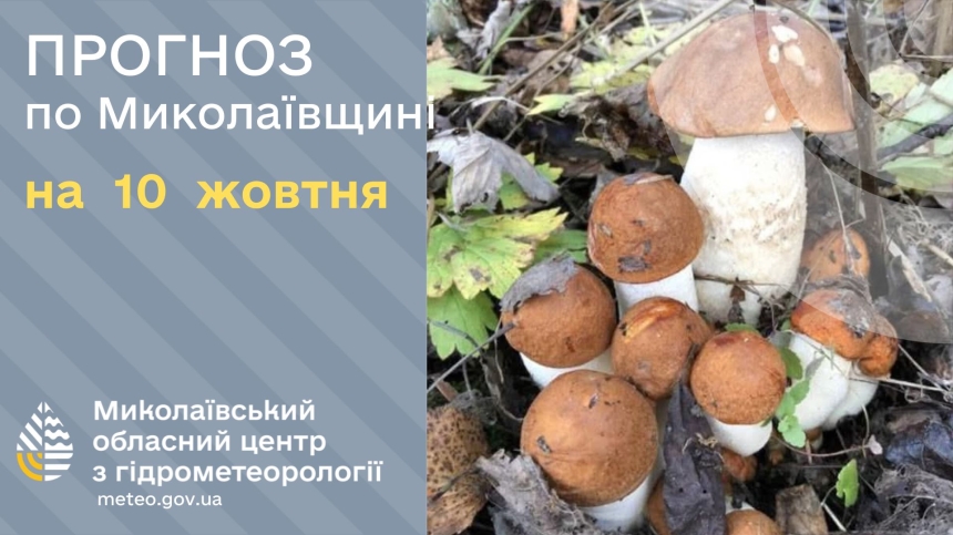 Какая погода будет в Николаеве и области в пятницу Какая погода будет в Николаеве и области в пятницу