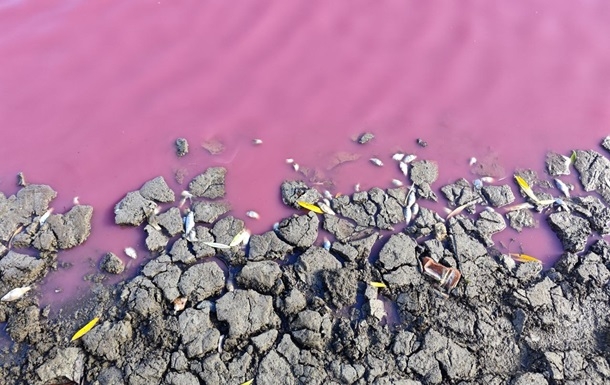 На Одещині масово загинула риба у рожевій водоймі На Одещині масово загинула риба у рожевій водоймі