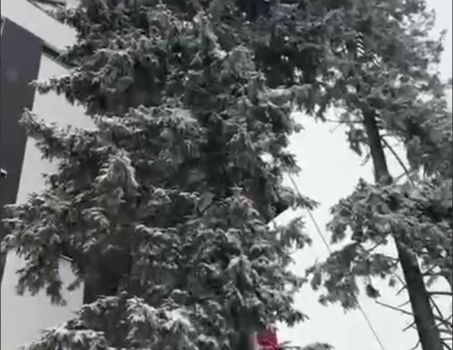 Буковель засыпало снегом (видео) Буковель засыпало снегом (видео)