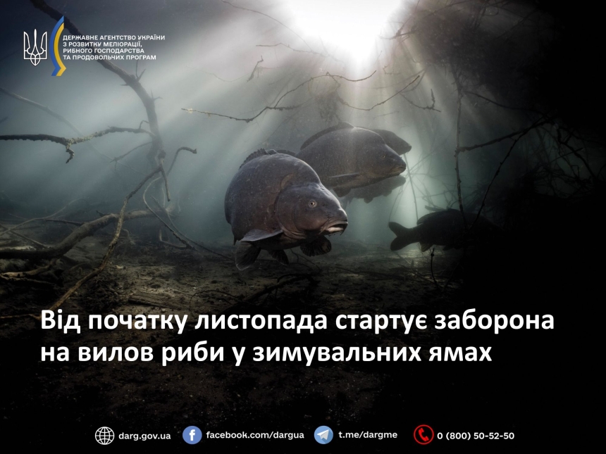 В Украине вступает в силу запрет на лов рыбы в зимовальных ямах В Украине вступает в силу запрет на лов рыбы в зимовальных ямах