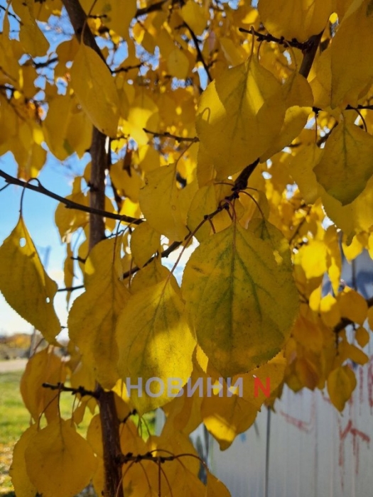 Синоптики рассказали, какой будет погода в Николаеве и области в понедельник Синоптики рассказали, какой будет погода в Николаеве и области в понедельник