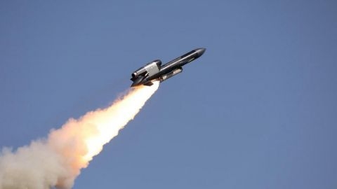 Массовое производство "Фламинго" в Украине ожидается к концу года Массовое производство "Фламинго" в Украине ожидается к концу года