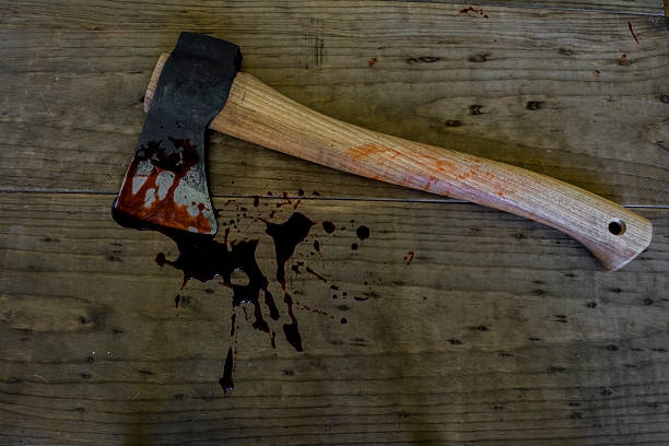 Забив родича сокирою: на Миколаївщині судили братовбивцю Забив родича сокирою: на Миколаївщині судили братовбивцю