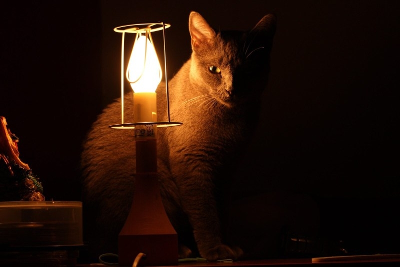 Отключение света в Николаеве: график на 8 ноября Отключение света в Николаеве: график на 8 ноября