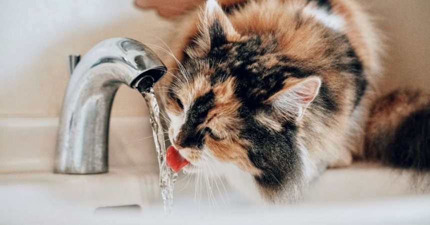 Два показателя не соответствуют нормам питьевой воды в Николаеве: как это исправят Два показателя не соответствуют нормам питьевой воды в Николаеве: как это исправят