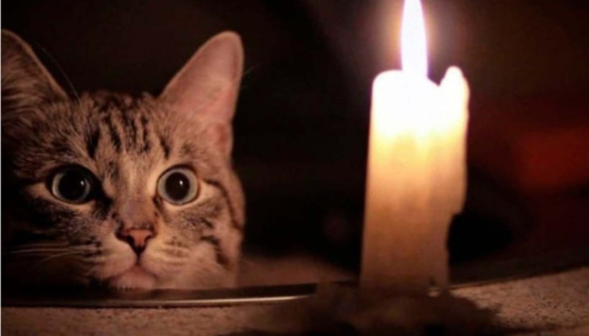 Отключение света в Николаеве: какие очереди обесточат Отключение света в Николаеве: какие очереди обесточат