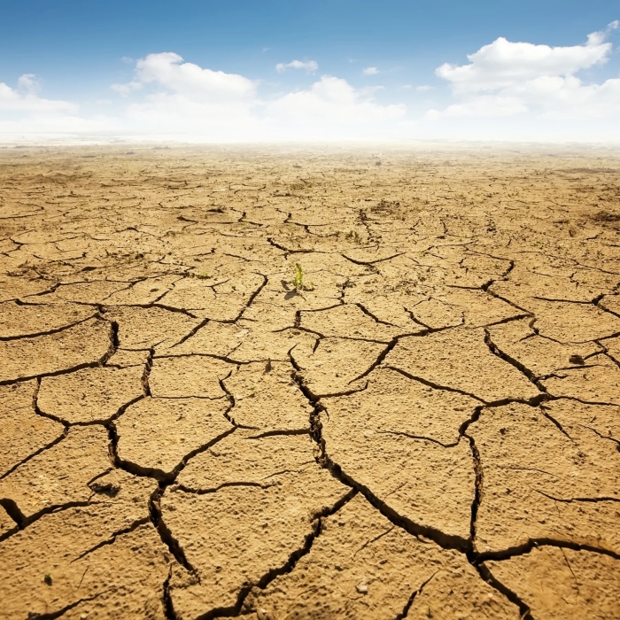 Англії загрожує найгірша за десятиліття посуха наступного року, - ЗМІ Англії загрожує найгірша за десятиліття посуха наступного року, - ЗМІ