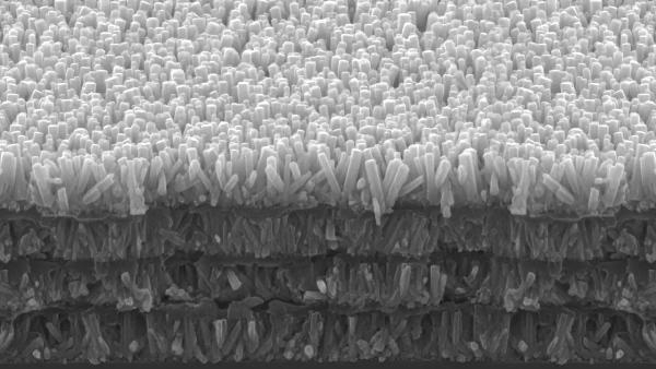 Вчені створили гель, який відновлює зубну емаль без фтору Вчені створили гель, який відновлює зубну емаль без фтору