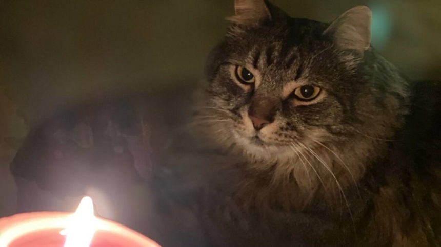 Как будут отключать свет в Николаеве и области: актуальное расписание Как будут отключать свет в Николаеве и области: актуальное расписание