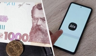 Зимова підтримка: Дія попередила про можливі збої Зимова підтримка: Дія попередила про можливі збої