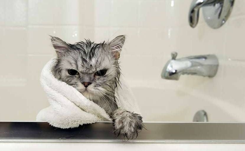 Фото ілюстраційне Фото ілюстраційне