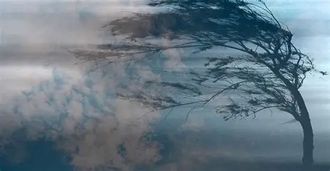 Николаевцев предупреждают об опасном метеорологическом явлении Николаевцев предупреждают об опасном метеорологическом явлении