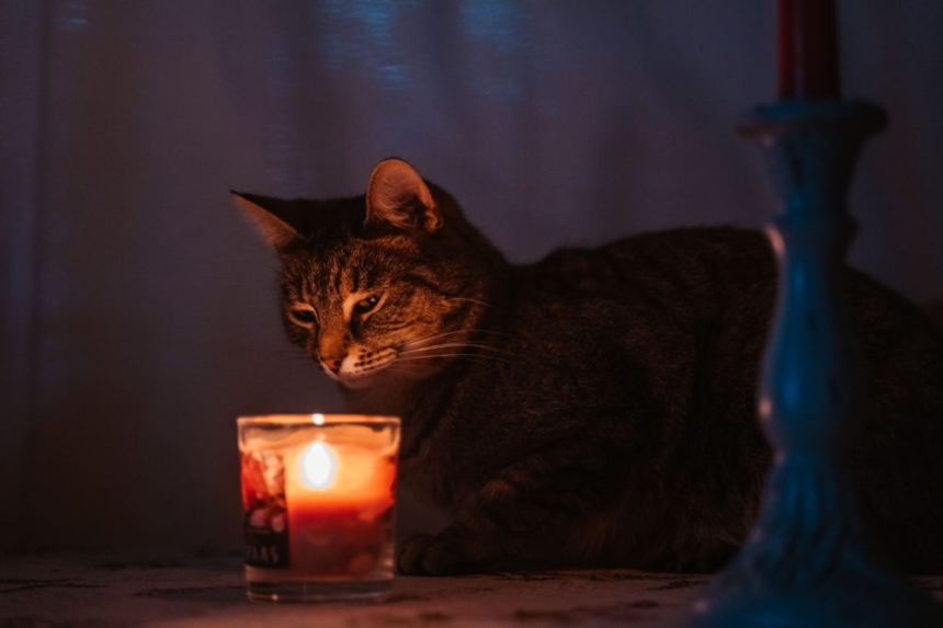 Как будут отключать свет в Николаеве и области: появился график Как будут отключать свет в Николаеве и области: появился график