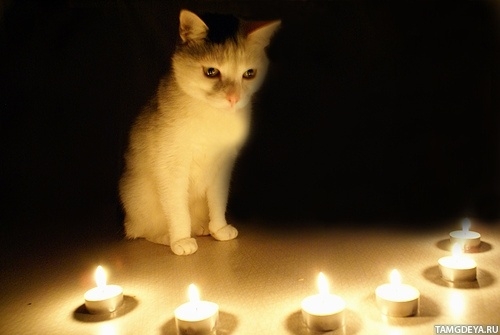 У Миколаєві та області продовжили відключення одночасно трьох з половиною черг У Миколаєві та області продовжили відключення одночасно трьох з половиною черг