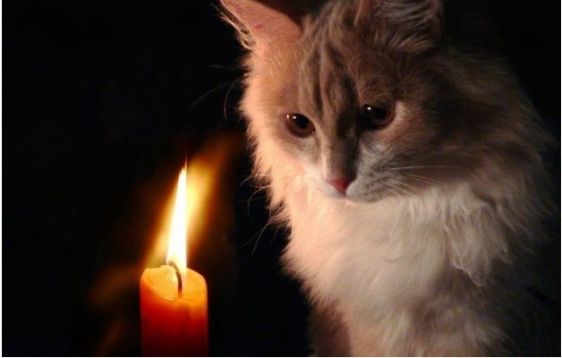 Отключение света в Николаеве и области: график на пятницу Отключение света в Николаеве и области: график на пятницу