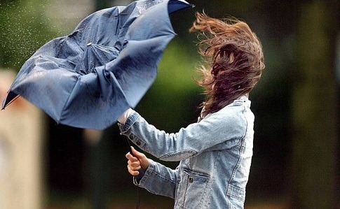 Фото ілюстраційне Фото ілюстраційне