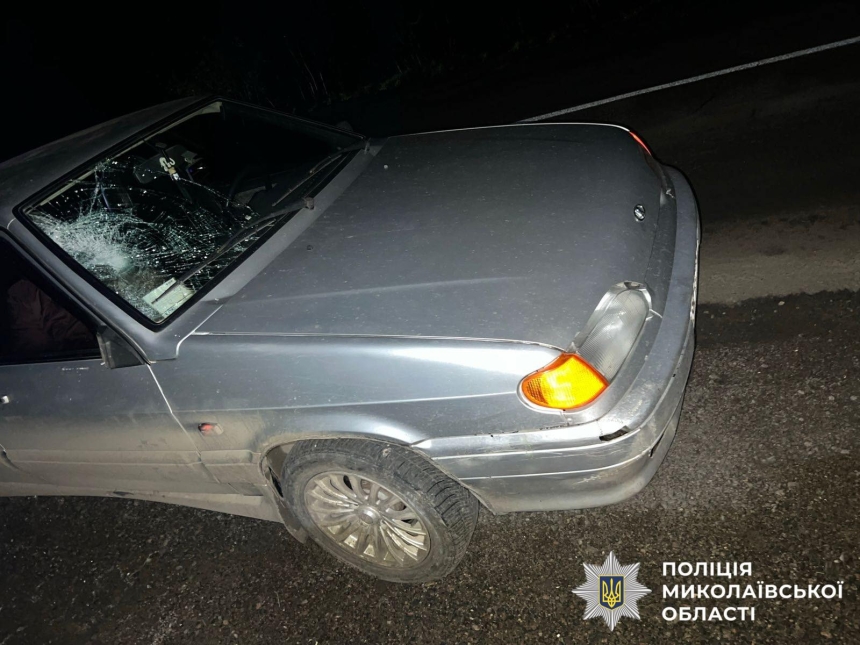 ВАЗ сбил пешехода в Николаевской области: полиция ищет свидетелей ВАЗ сбил пешехода в Николаевской области: полиция ищет свидетелей