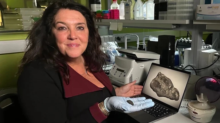 В Эстонии нашли 10 500-летнюю жевательную резинку В Эстонии нашли 10 500-летнюю жевательную резинку