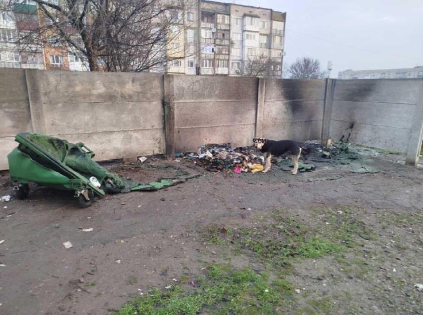 Підпалили сміттєві баки: на Миколаївщині розшукують вандалів Підпалили сміттєві баки: на Миколаївщині розшукують вандалів