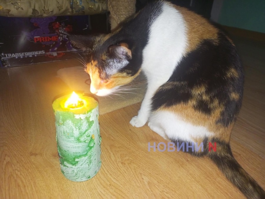 Отключение света в Николаевской области: какие графики будут действовать 13 декабря Отключение света в Николаевской области: какие графики будут действовать 13 декабря