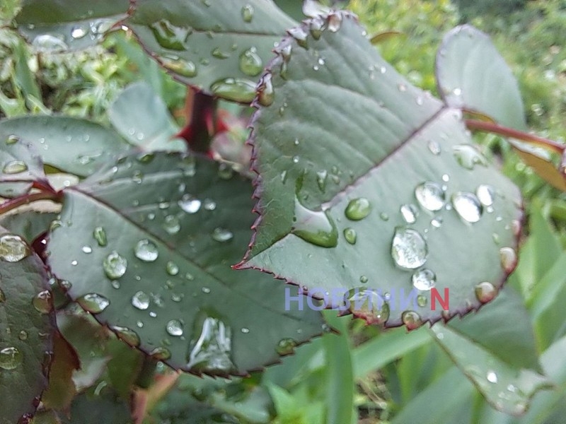 Дождь и до + 8°: синоптики рассказали о погоде в Николаеве и области в понедельник Дождь и до + 8°: синоптики рассказали о погоде в Николаеве и области в понедельник